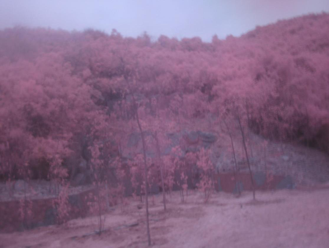 Gɫz(yn)RĳɽwbǰЧD