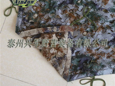 p攵(sh)aԲʂbW(wng)XJ-WZW-SMSM-001
